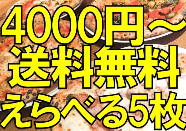 画像1: 【送料無料】選べる5枚セット【※ご注文から15日〜20日ほどで発送予定】 (1)